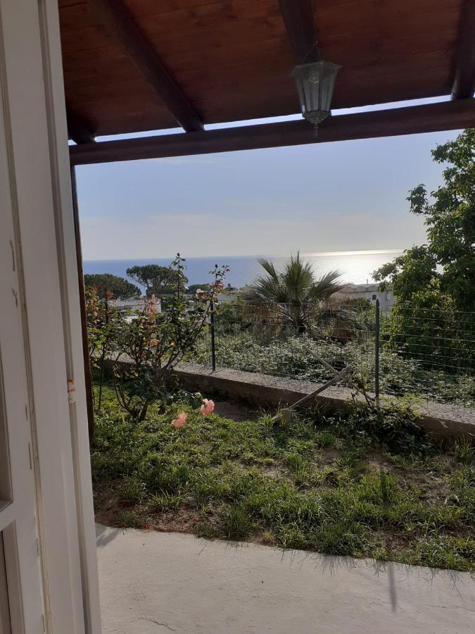 La Terrazzina Sul Tramonto Bed and Breakfast Forio di Ischia Eksteriør billede