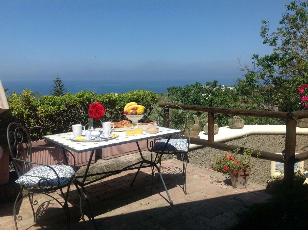 La Terrazzina Sul Tramonto Bed and Breakfast Forio di Ischia Eksteriør billede