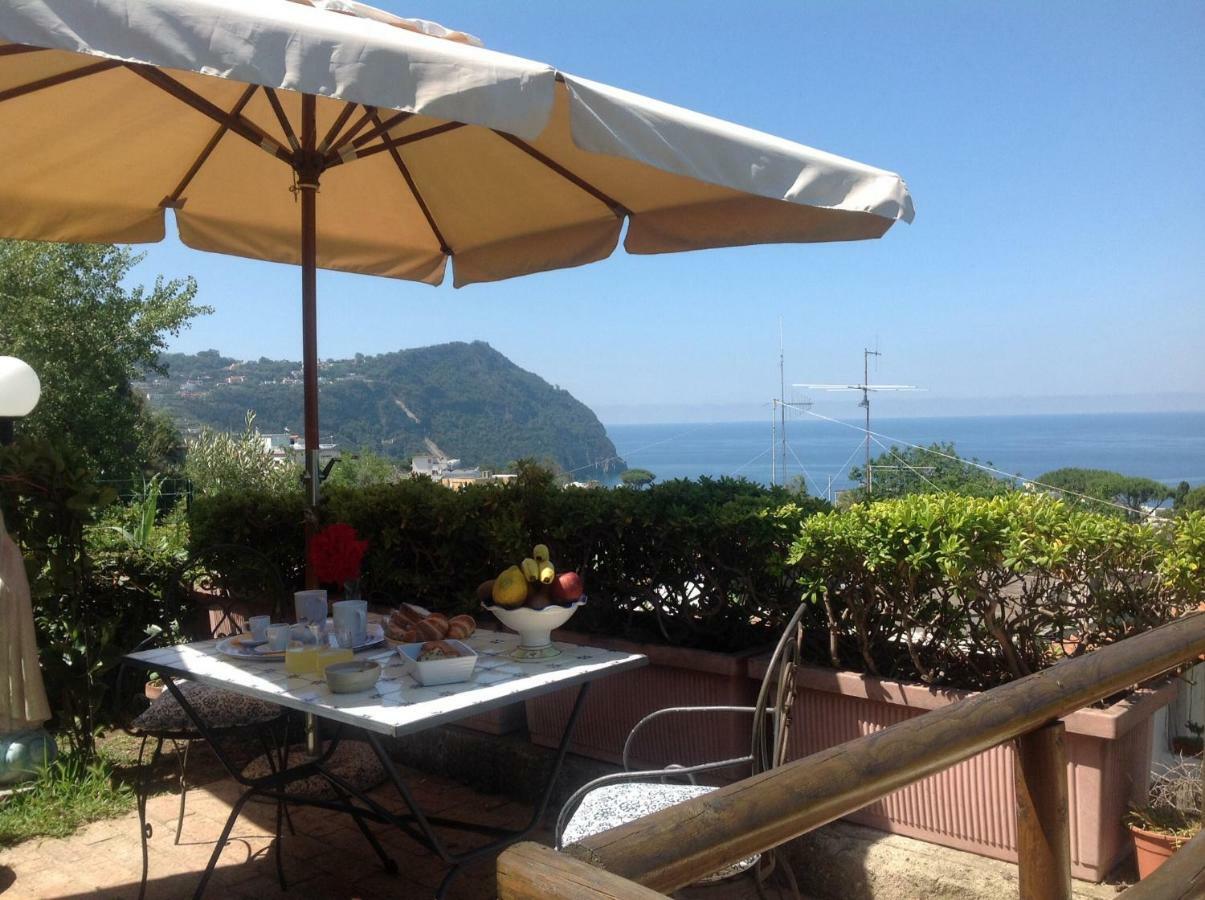 La Terrazzina Sul Tramonto Bed and Breakfast Forio di Ischia Eksteriør billede