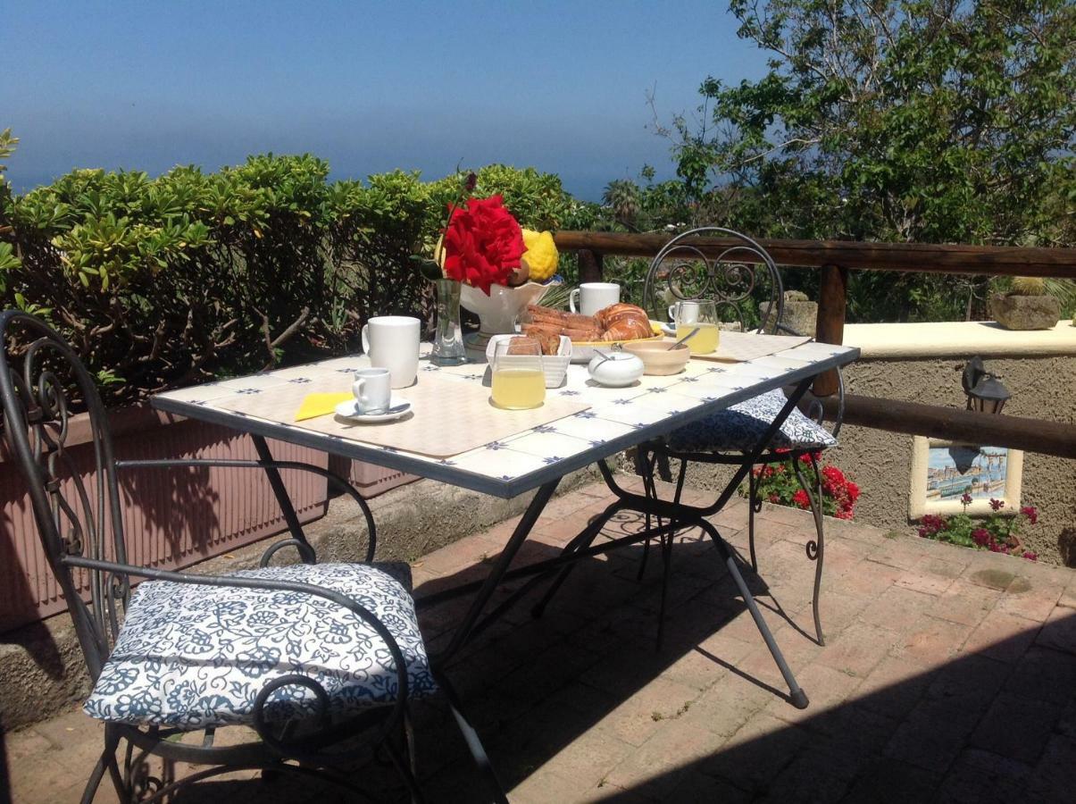 La Terrazzina Sul Tramonto Bed and Breakfast Forio di Ischia Eksteriør billede