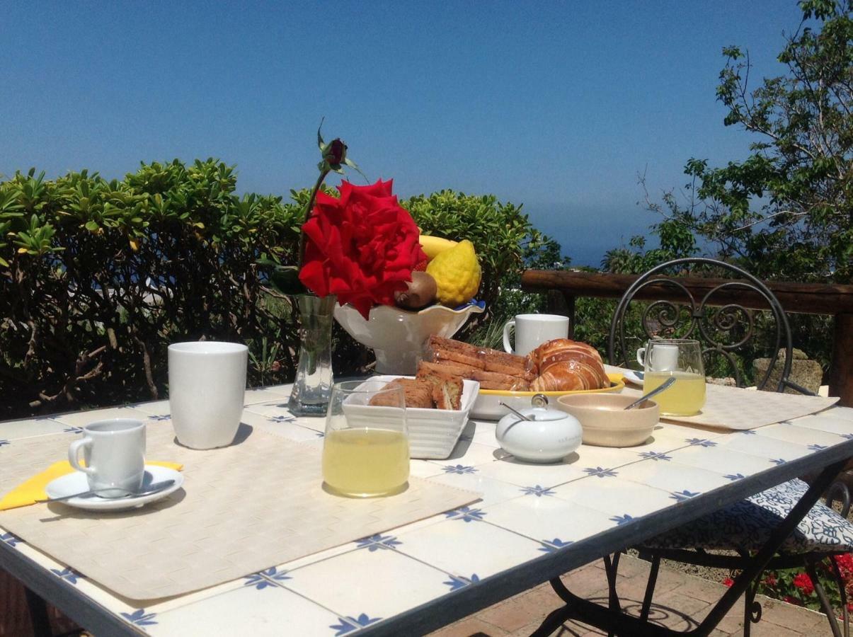 La Terrazzina Sul Tramonto Bed and Breakfast Forio di Ischia Eksteriør billede
